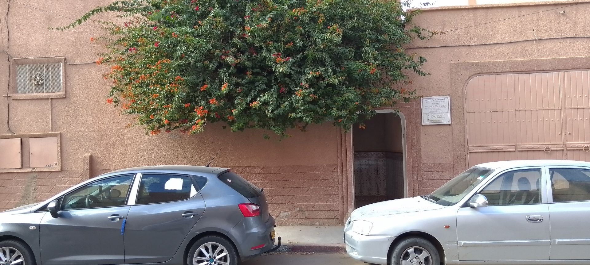 د. يحي مصطفى - Service banner image