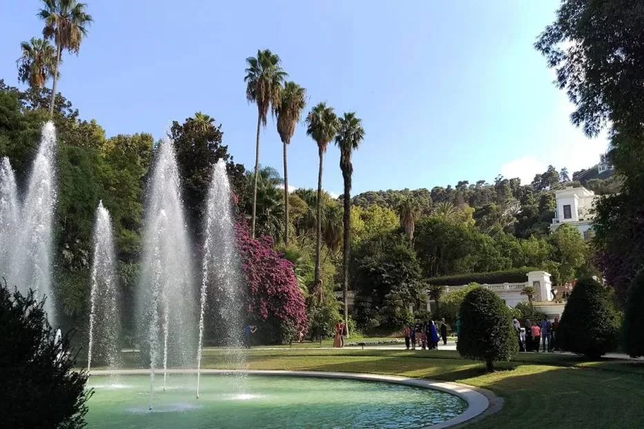 Jardin Botanique d'EL HAMMA (Jardin d'essais) - Service banner image