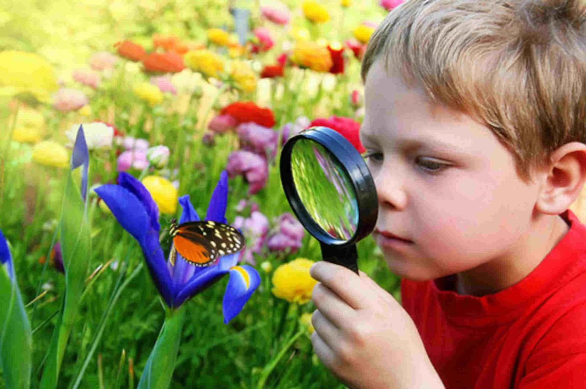 Istanbul Butterfly Farm - Service banner image