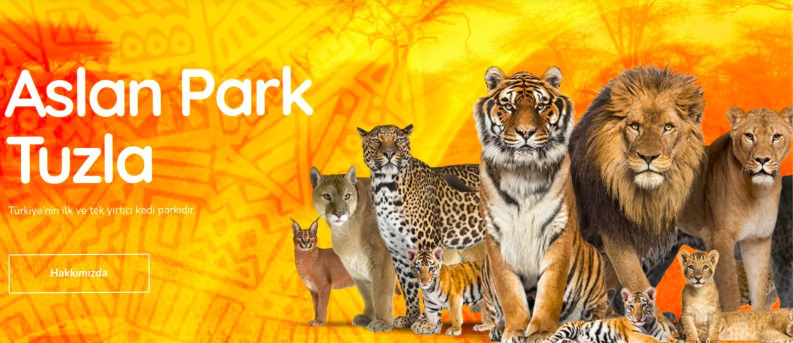ASLAN Park (Istanbul) - Service banner image