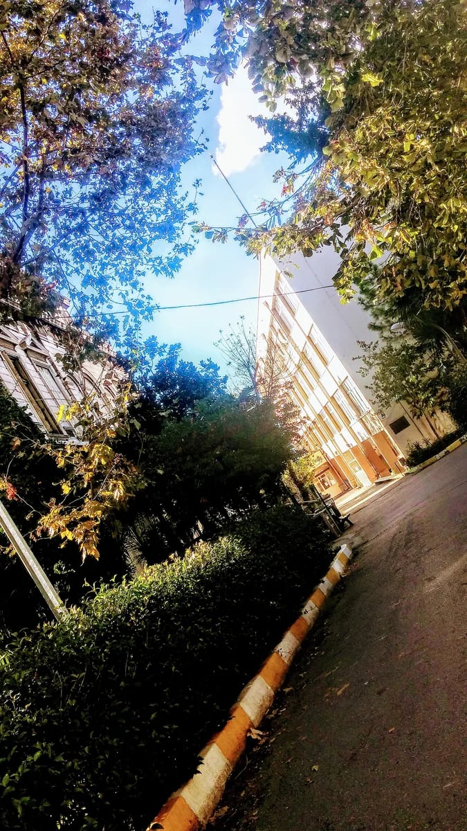 İstanbul Kadıköy Lisesi - Service banner image