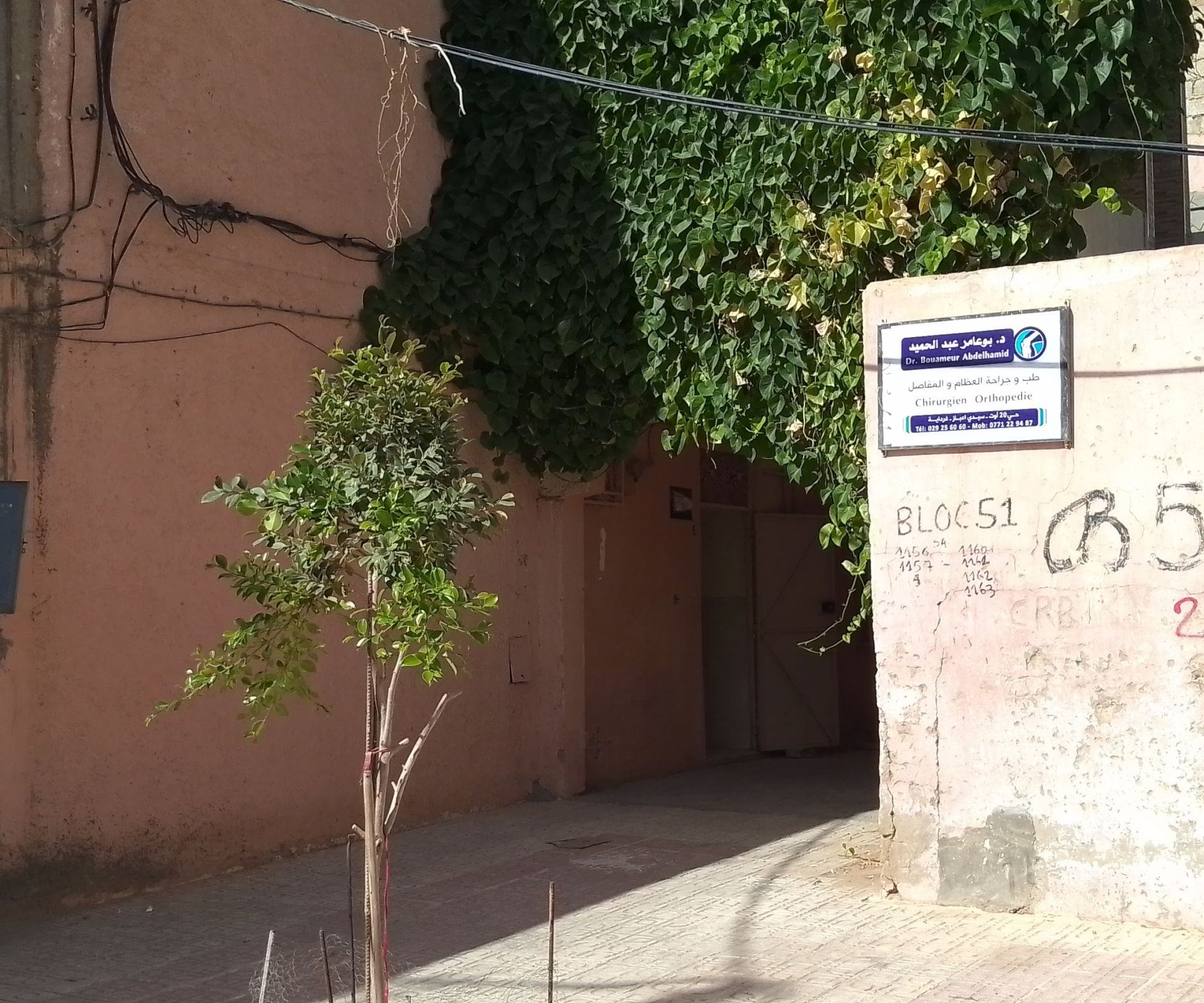 Dr BOUAMEUR Abdelhamid - Photo 3