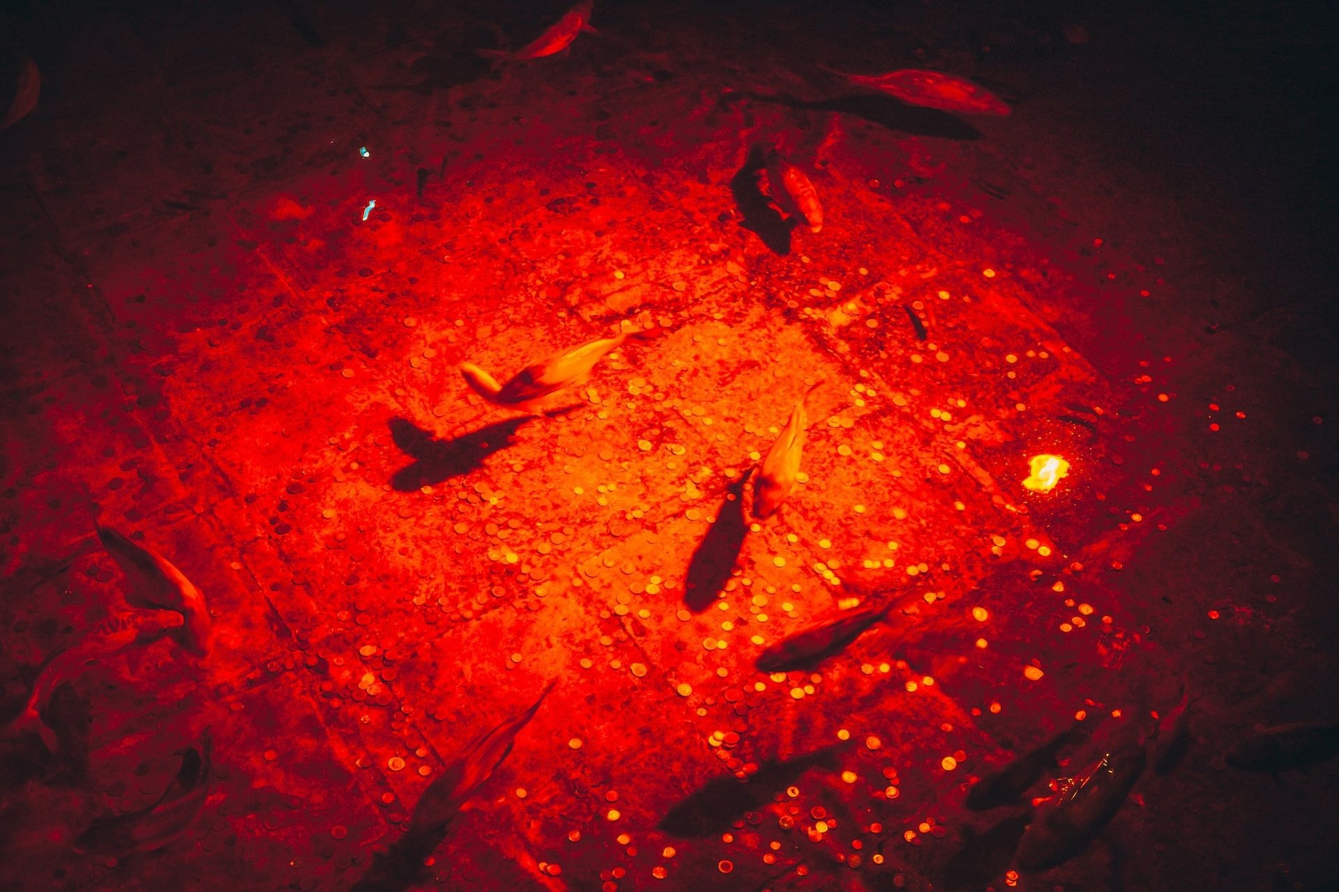 La Citerne basilique - Photo 4