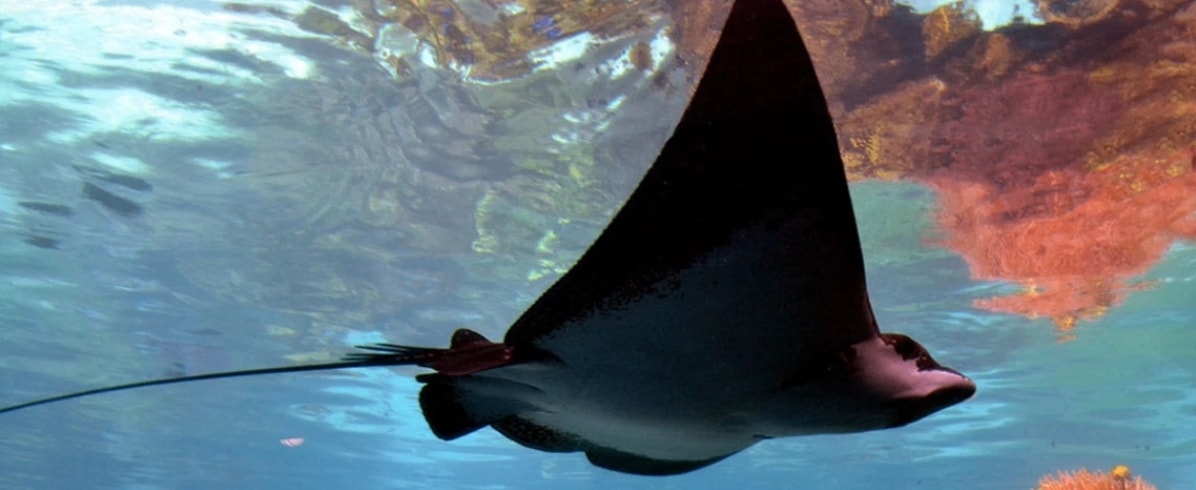 Istanbul Aquarium - Photo 2