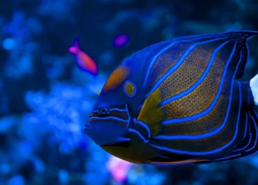 Istanbul Aquarium - Photo 3