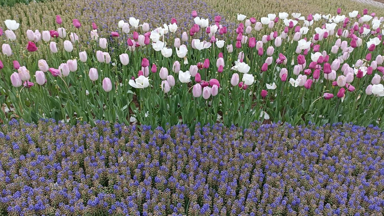 EMIRGAN Park - Photo 3