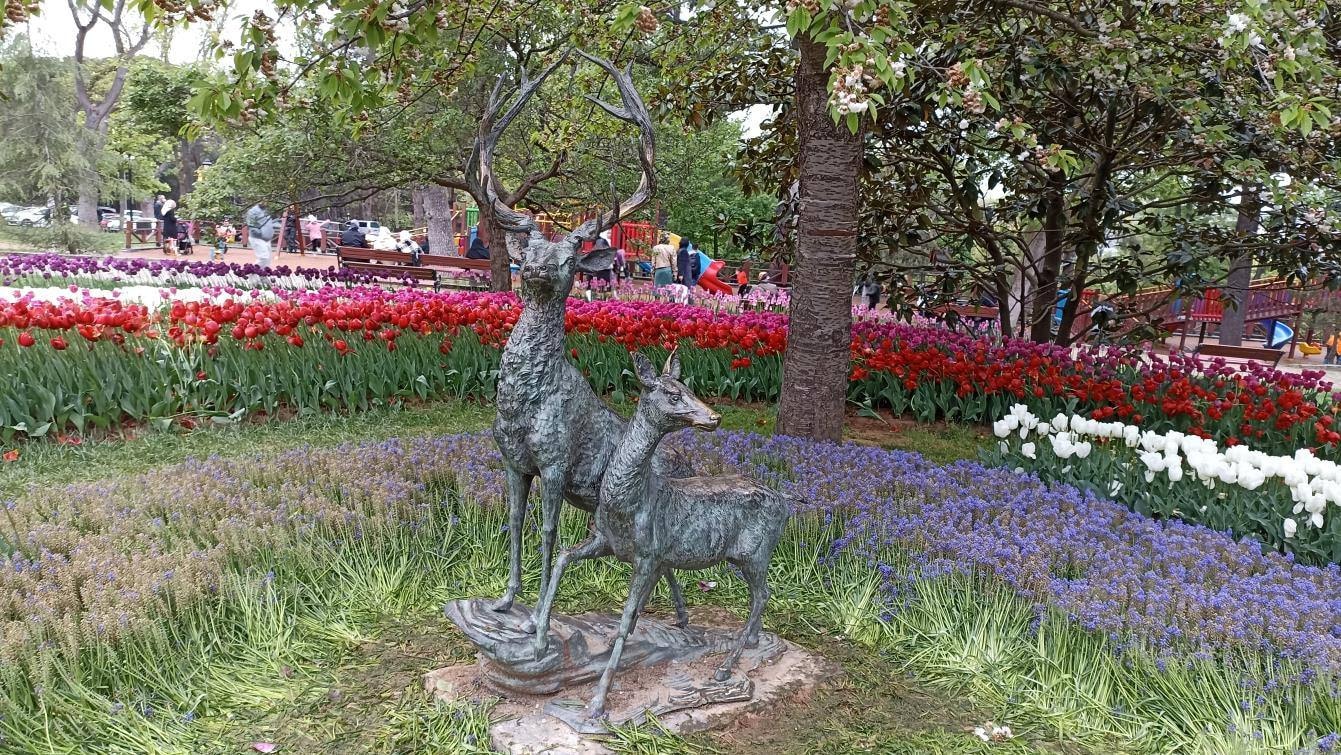 EMIRGAN Park - Photo 4