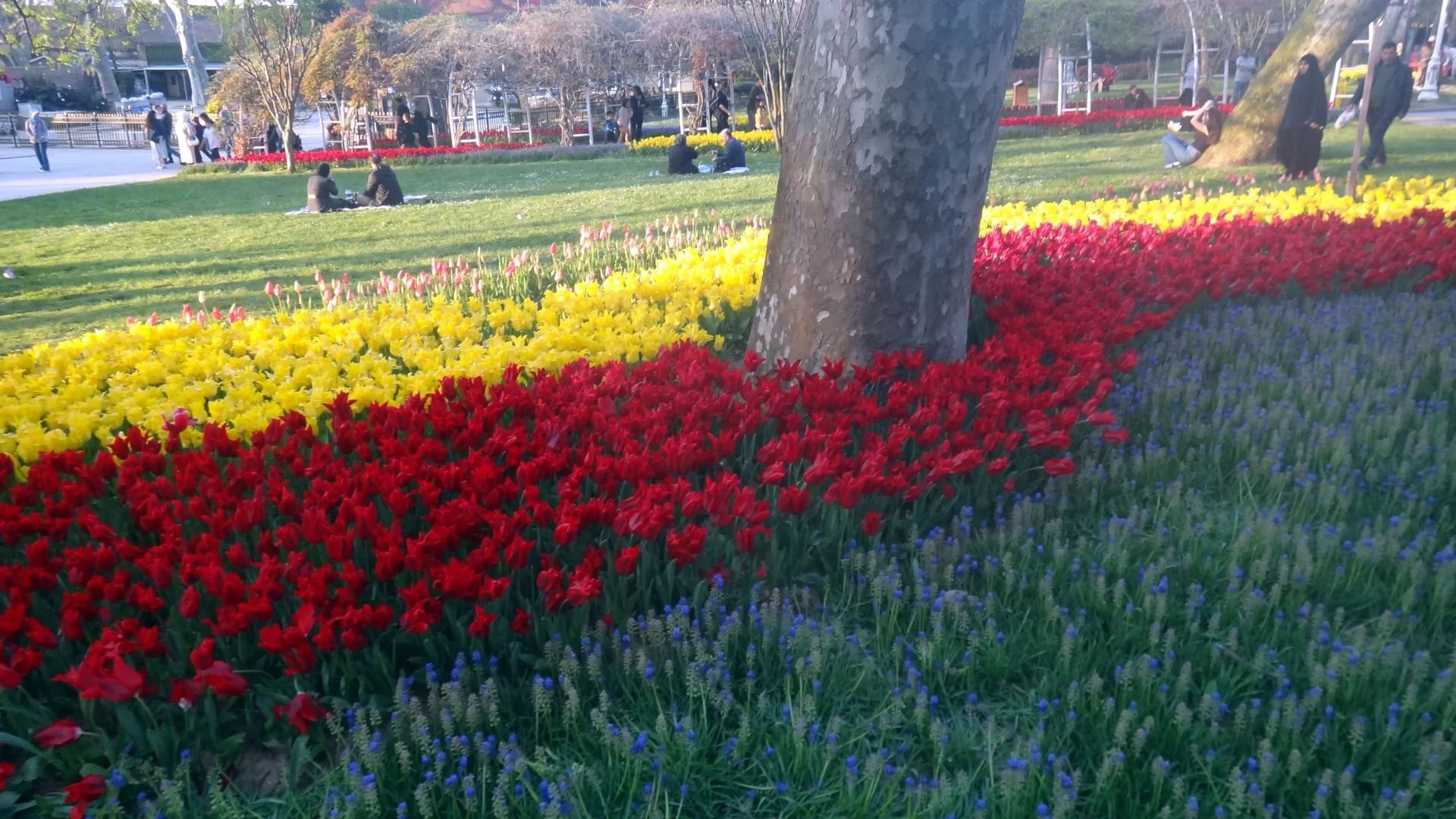Parc GULHANE - Photo 2
