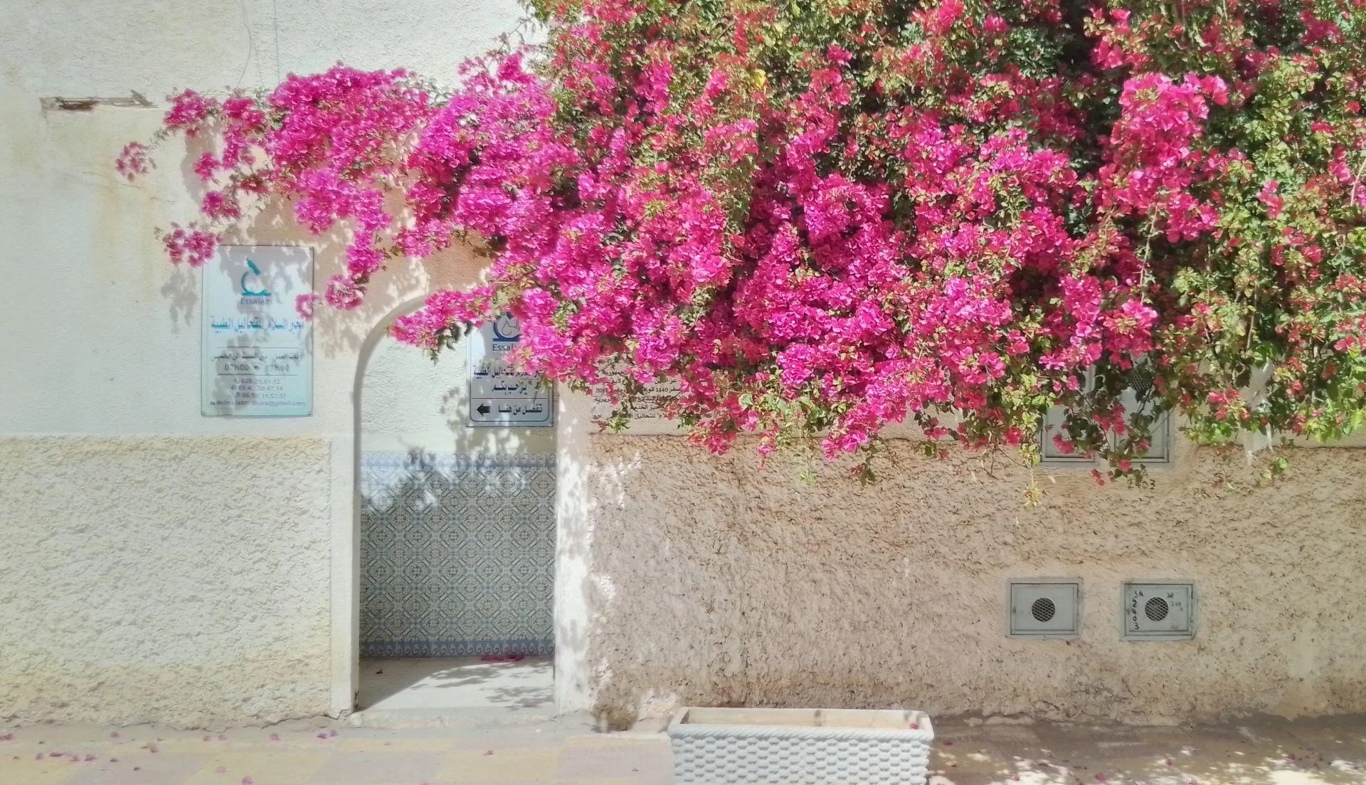 Laboratoire Essalam - Dr DELMA F. - Photo 3