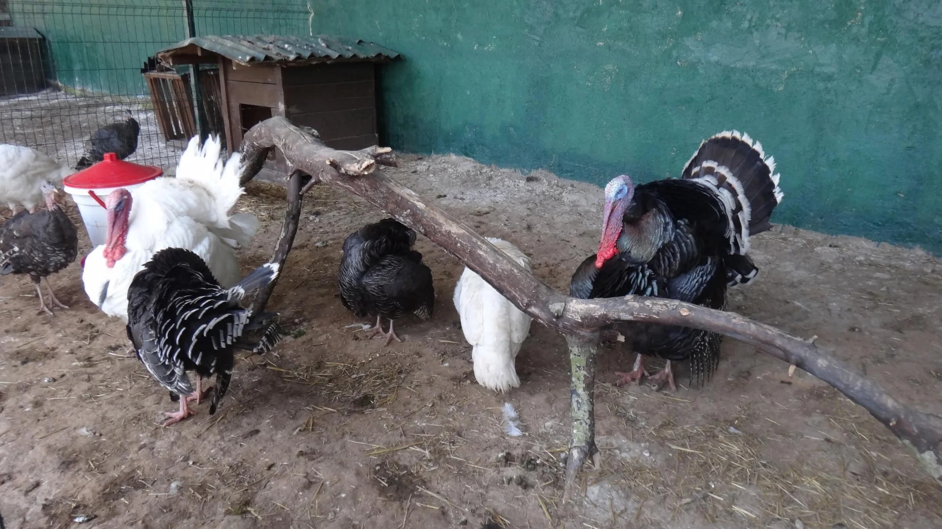 Park of Istanbul - Photo 22