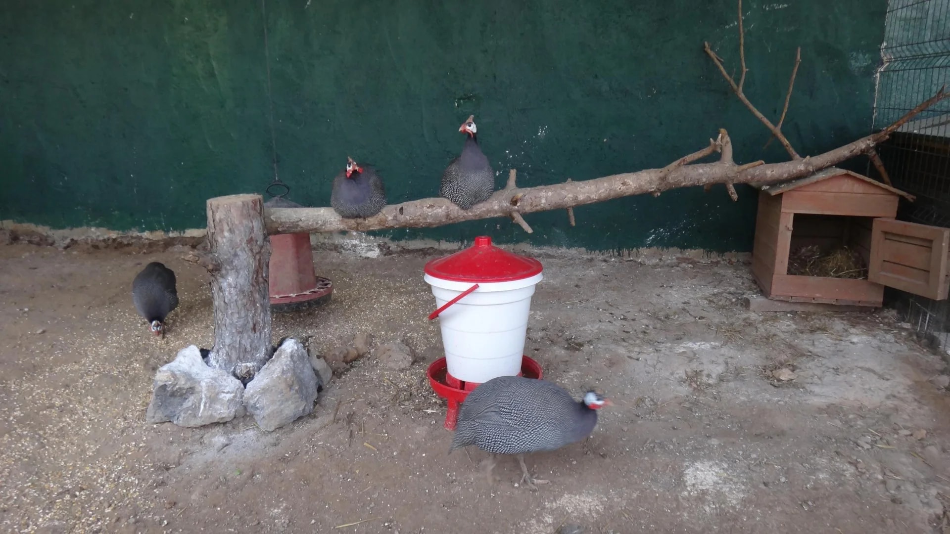 Park of Istanbul - Photo 24