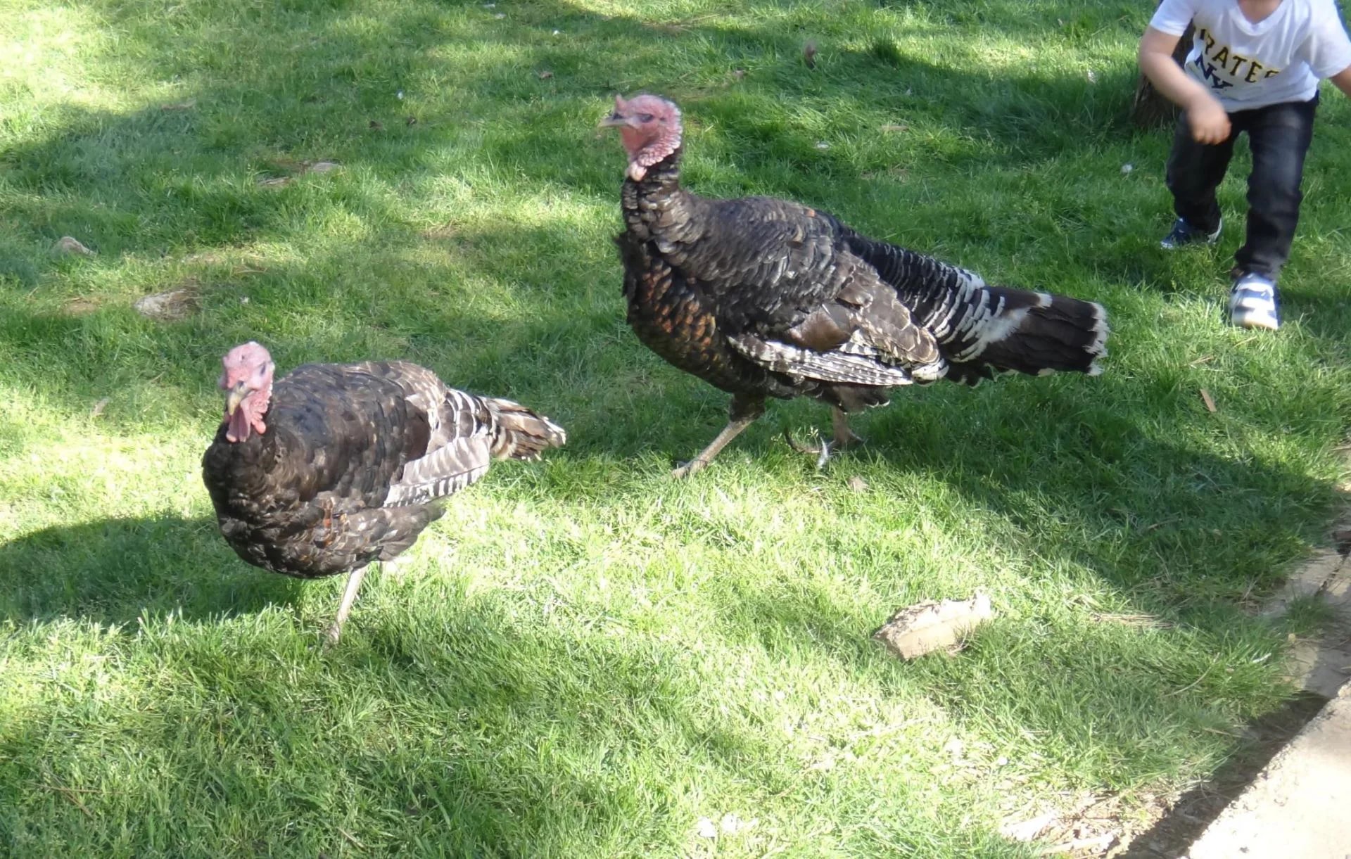 Park of Istanbul - Photo 21