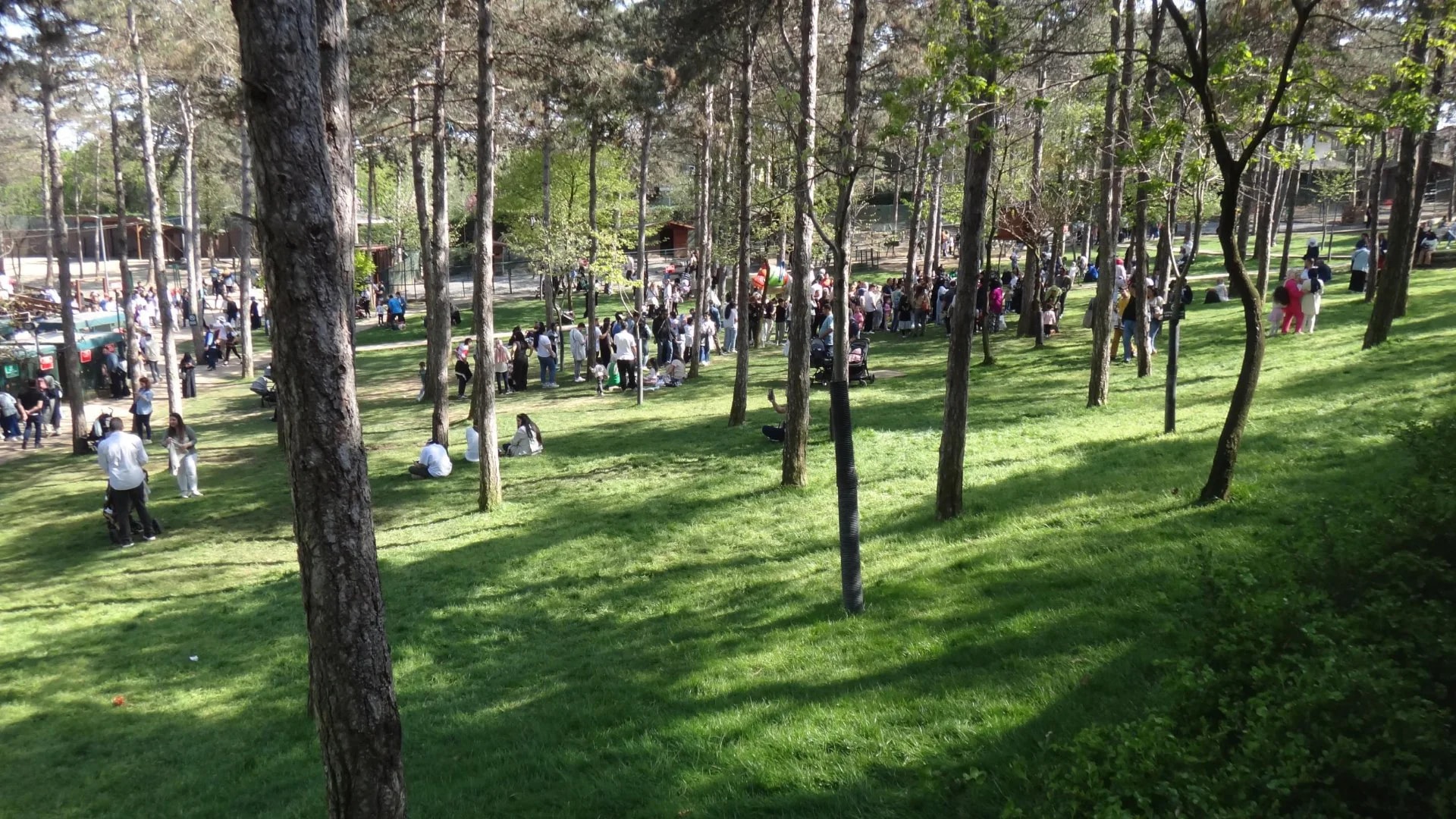 Park of Istanbul - Photo 23