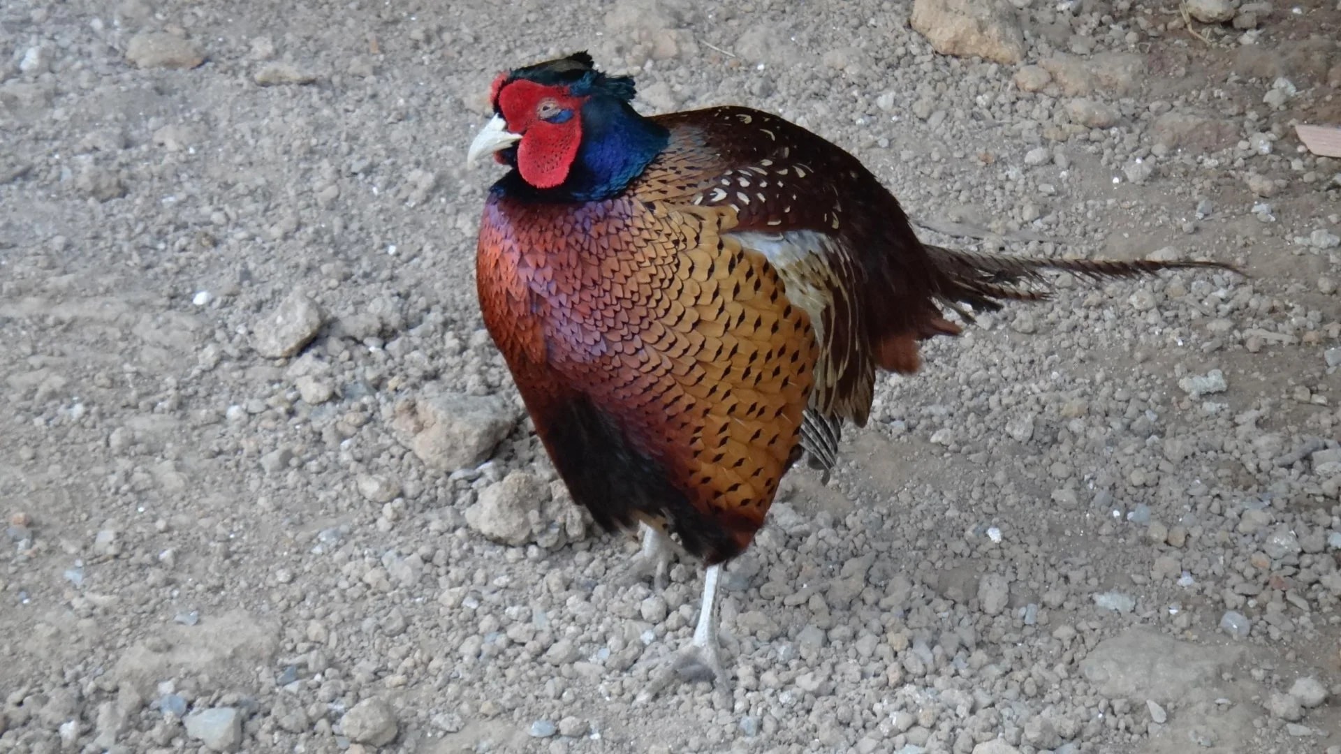 Park of Istanbul - Photo 25