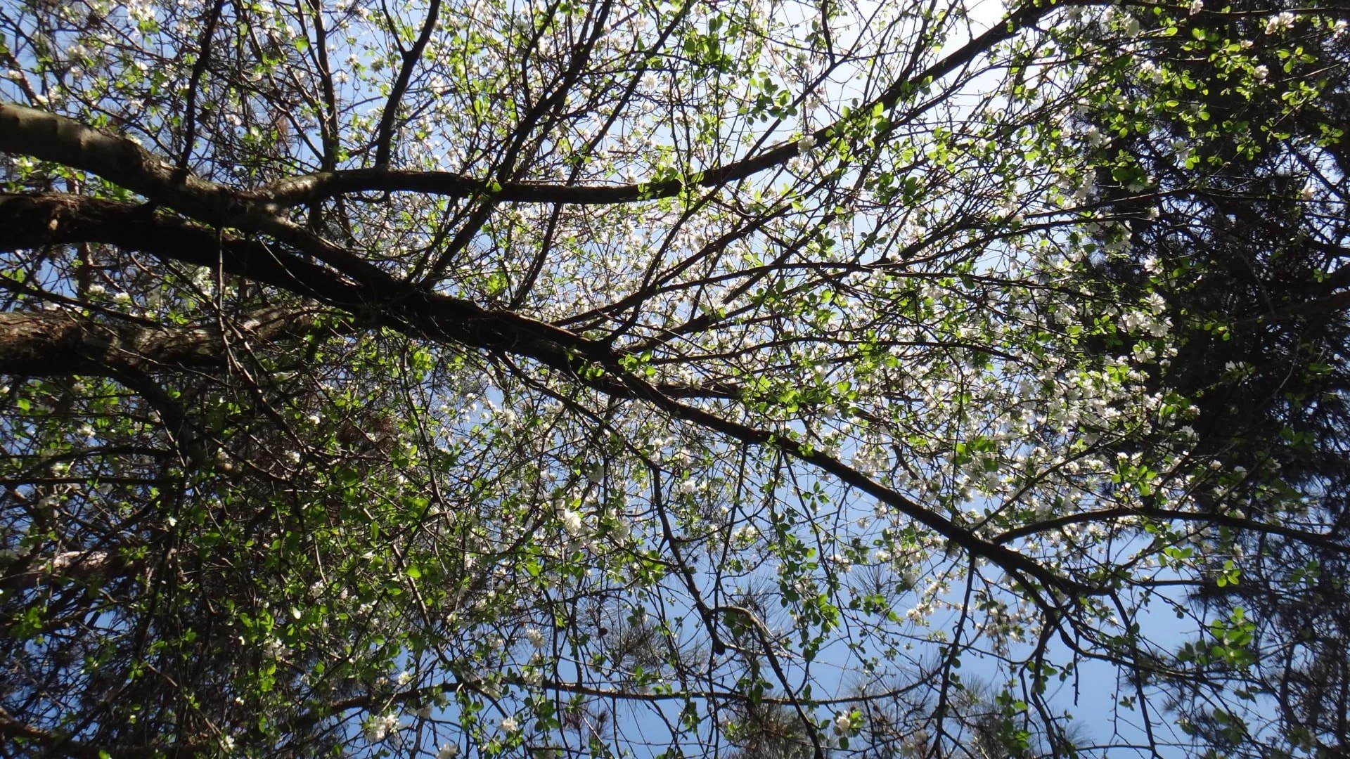 Park of Istanbul - Photo 26