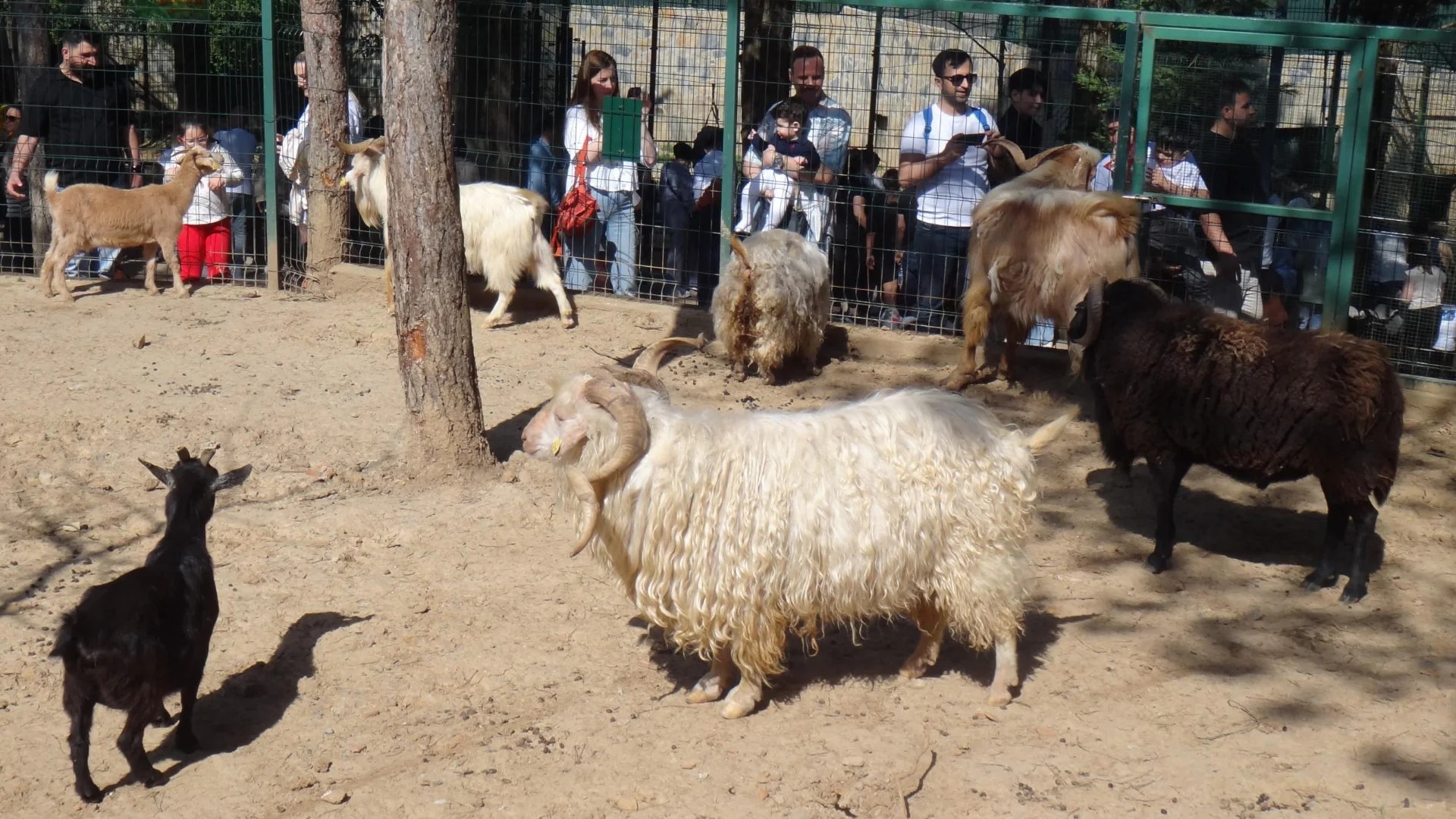 Park of Istanbul - Photo 17