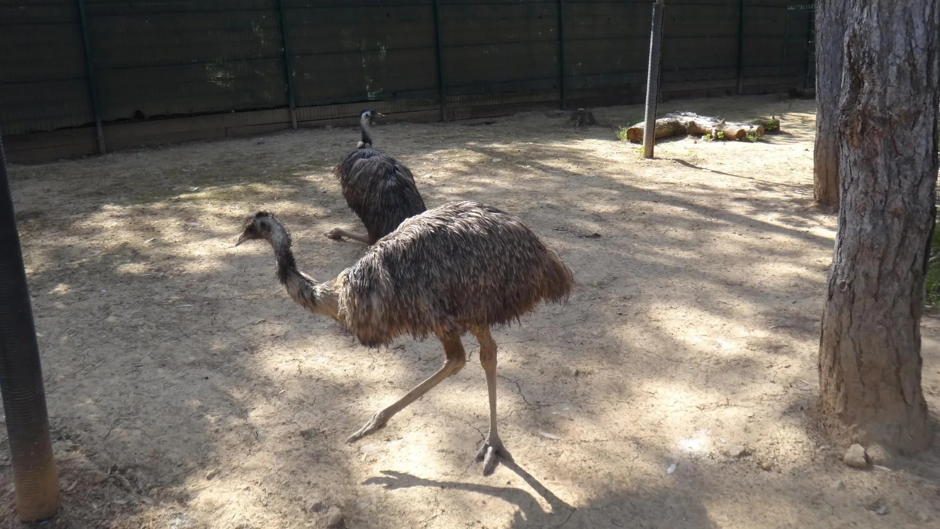 Park of Istanbul - Photo 15