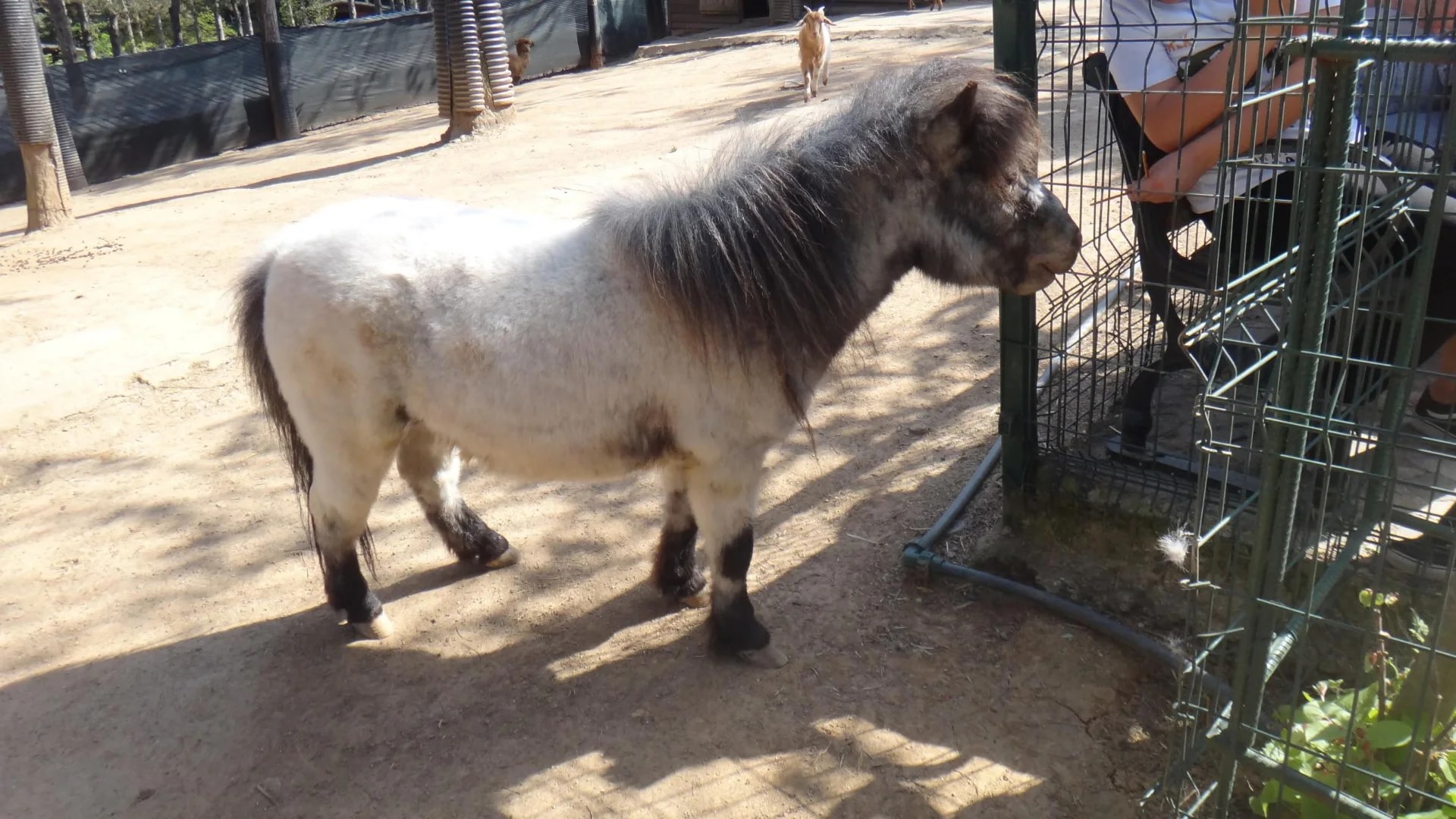 Park of Istanbul - Photo 14