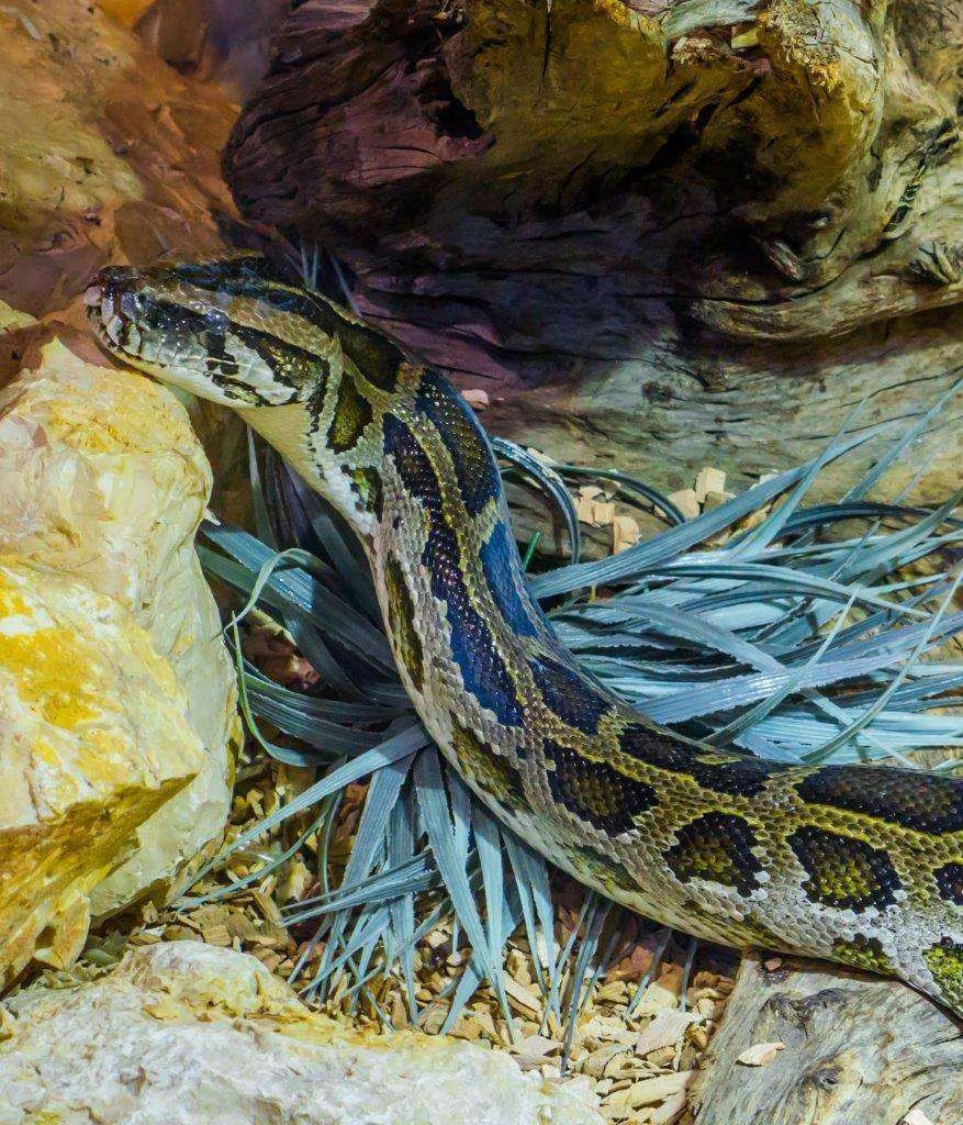 EMAAR Aquarium Istanbul - Photo 14