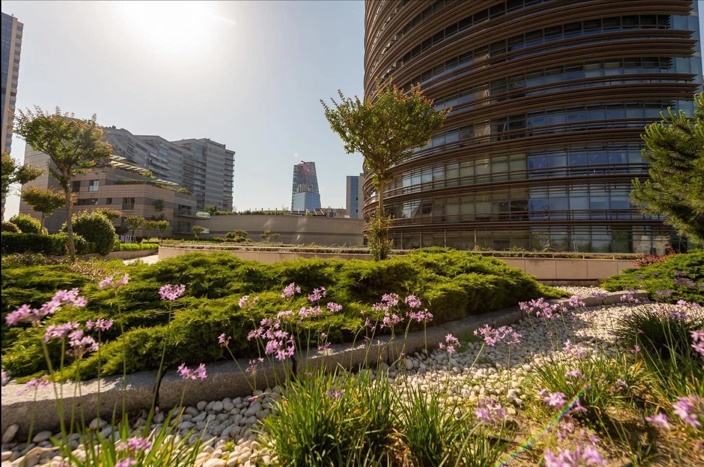 Kanyon - Photo 4