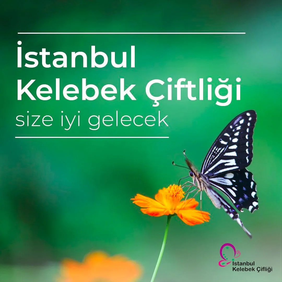 Istanbul Butterfly Farm - Photo 6