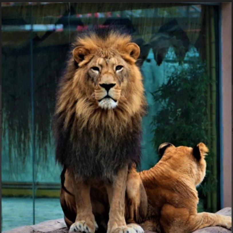 ASLAN Park (Istanbul) - Photo 2