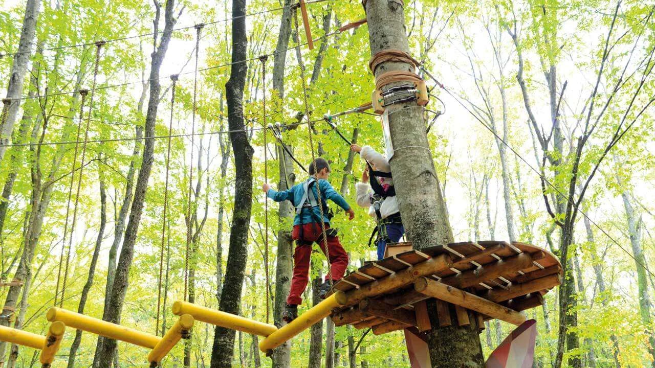Parc d'Aventure Forestanbul (Forestanbul Macera Park) - Photo 2