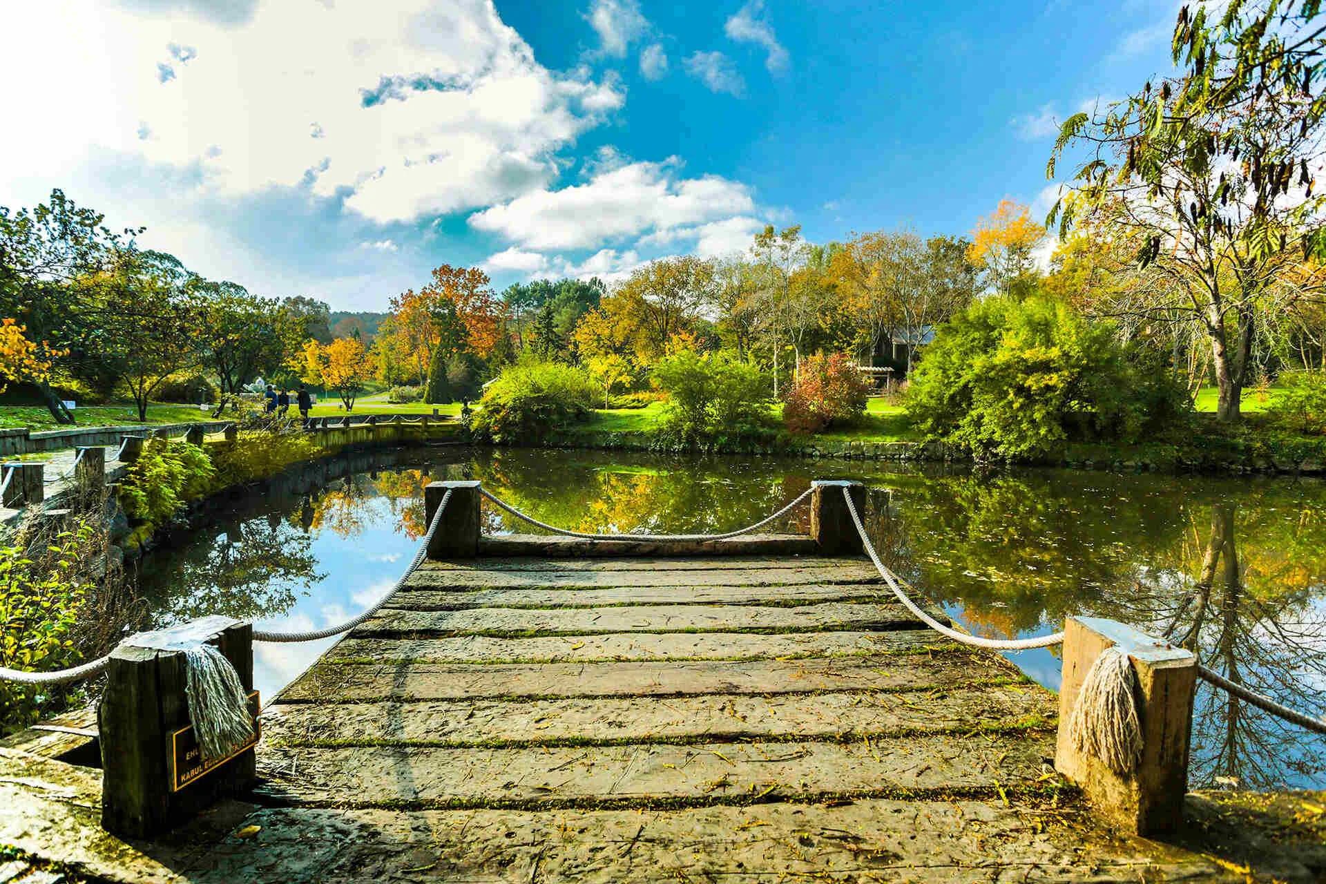 Ataturk Arboretum - Photo 2