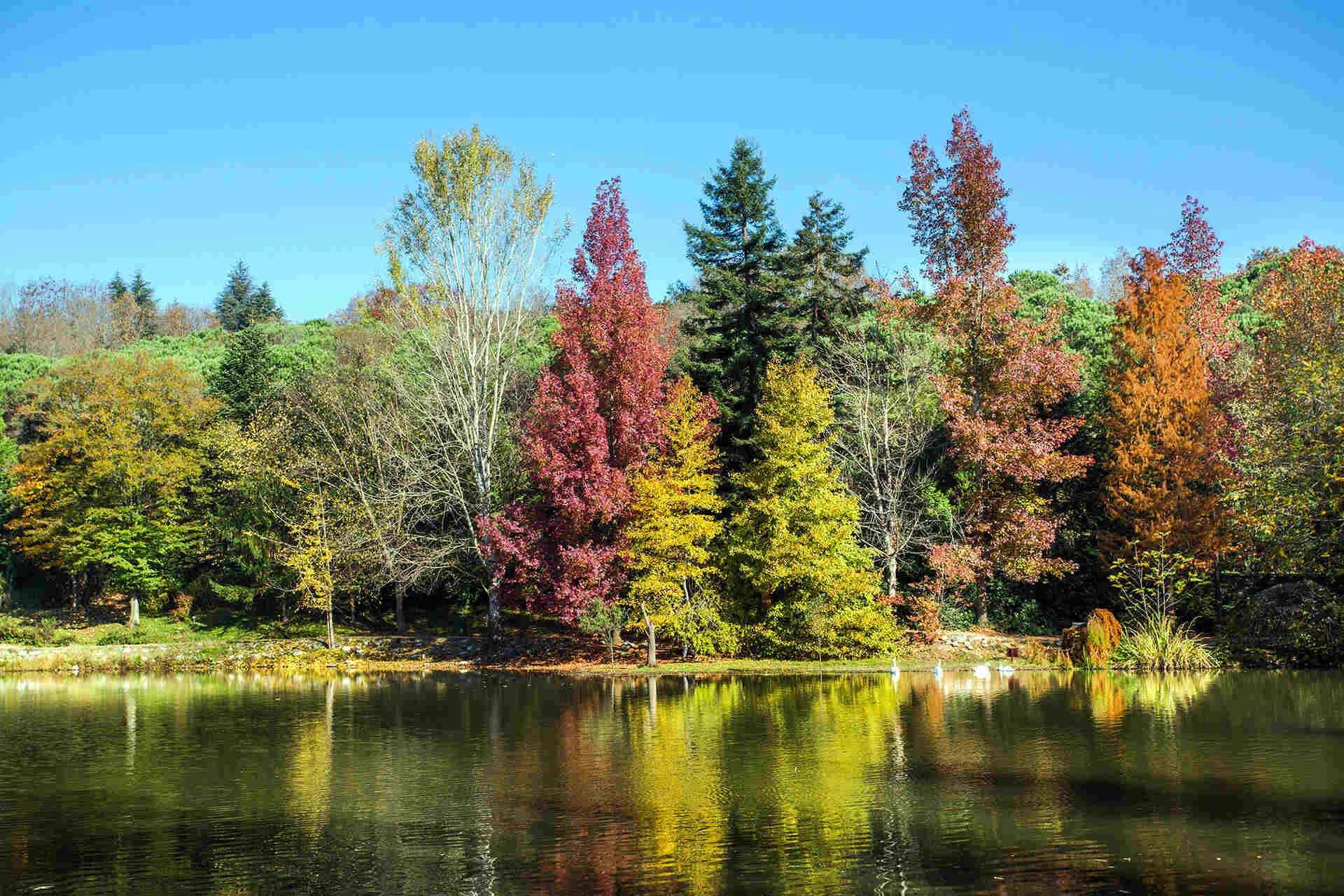 Ataturk Arboretum - Photo 3