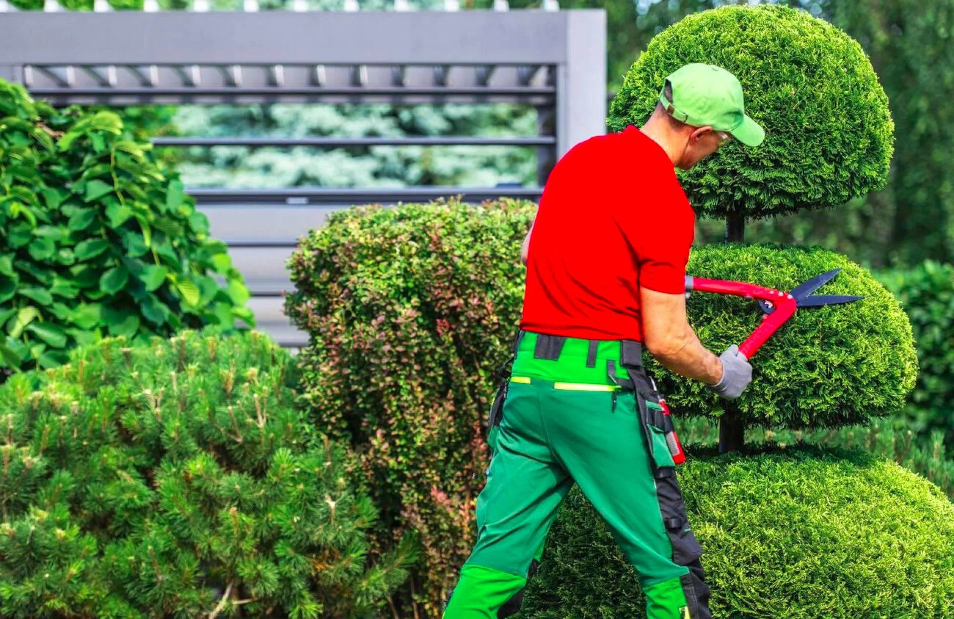 ACEVA Landscaping
