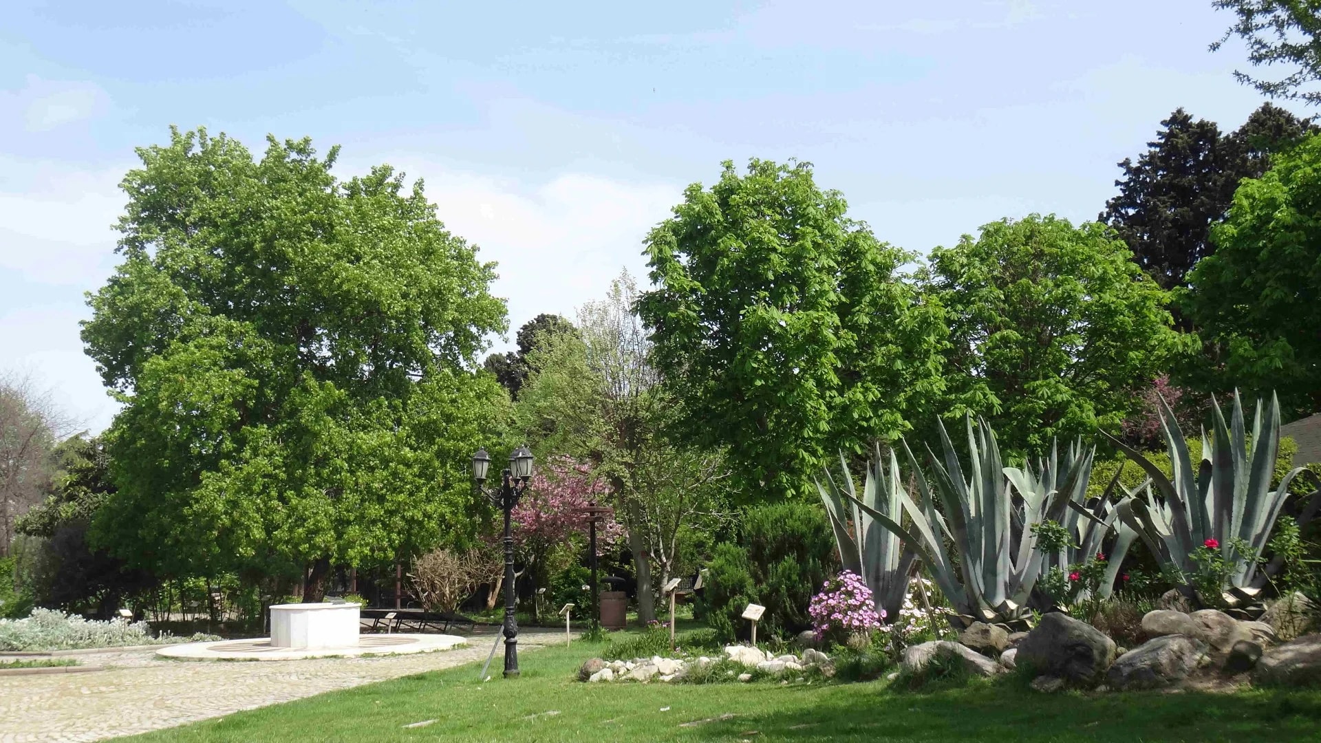 Jardin des Plantes Médicinales de Zeytinburnu - Photo 7