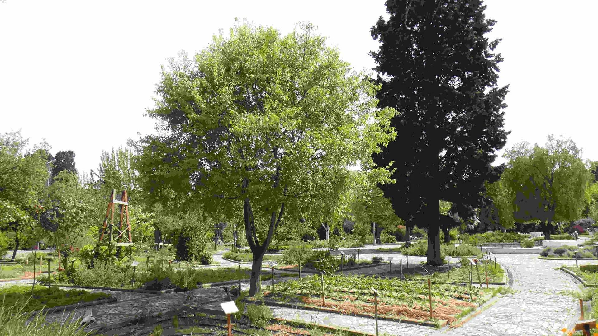 Jardin des Plantes Médicinales de Zeytinburnu - Photo 6