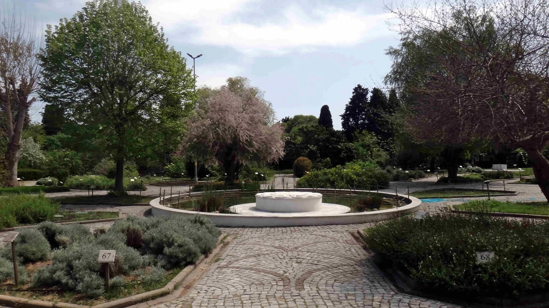 Jardin des Plantes Médicinales de Zeytinburnu - Photo 8