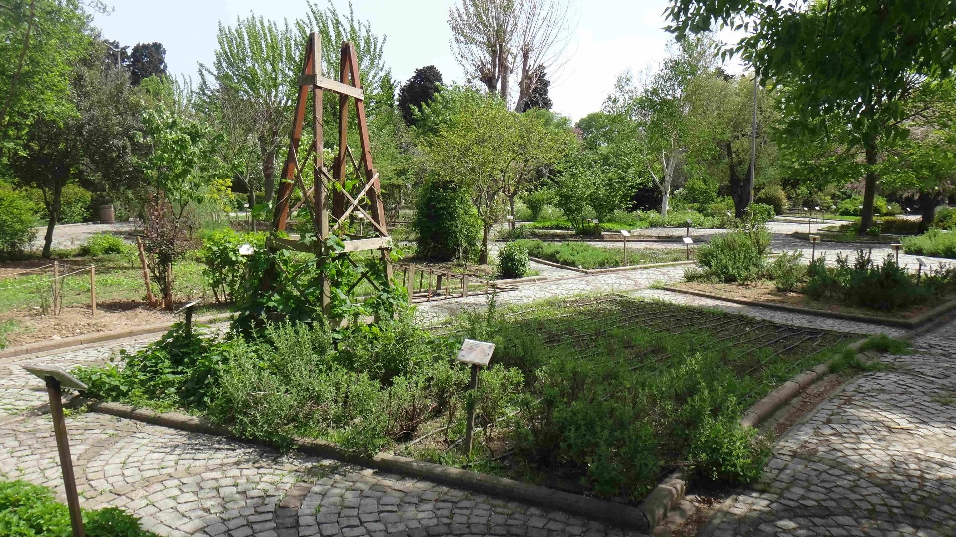 Jardin des Plantes Médicinales de Zeytinburnu - Photo 10