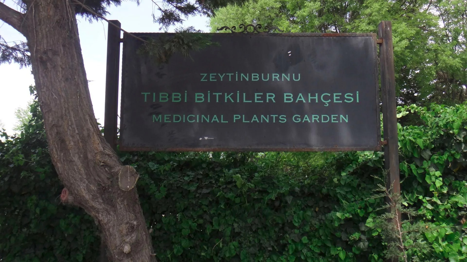 Jardin des Plantes Médicinales de Zeytinburnu - Photo 5