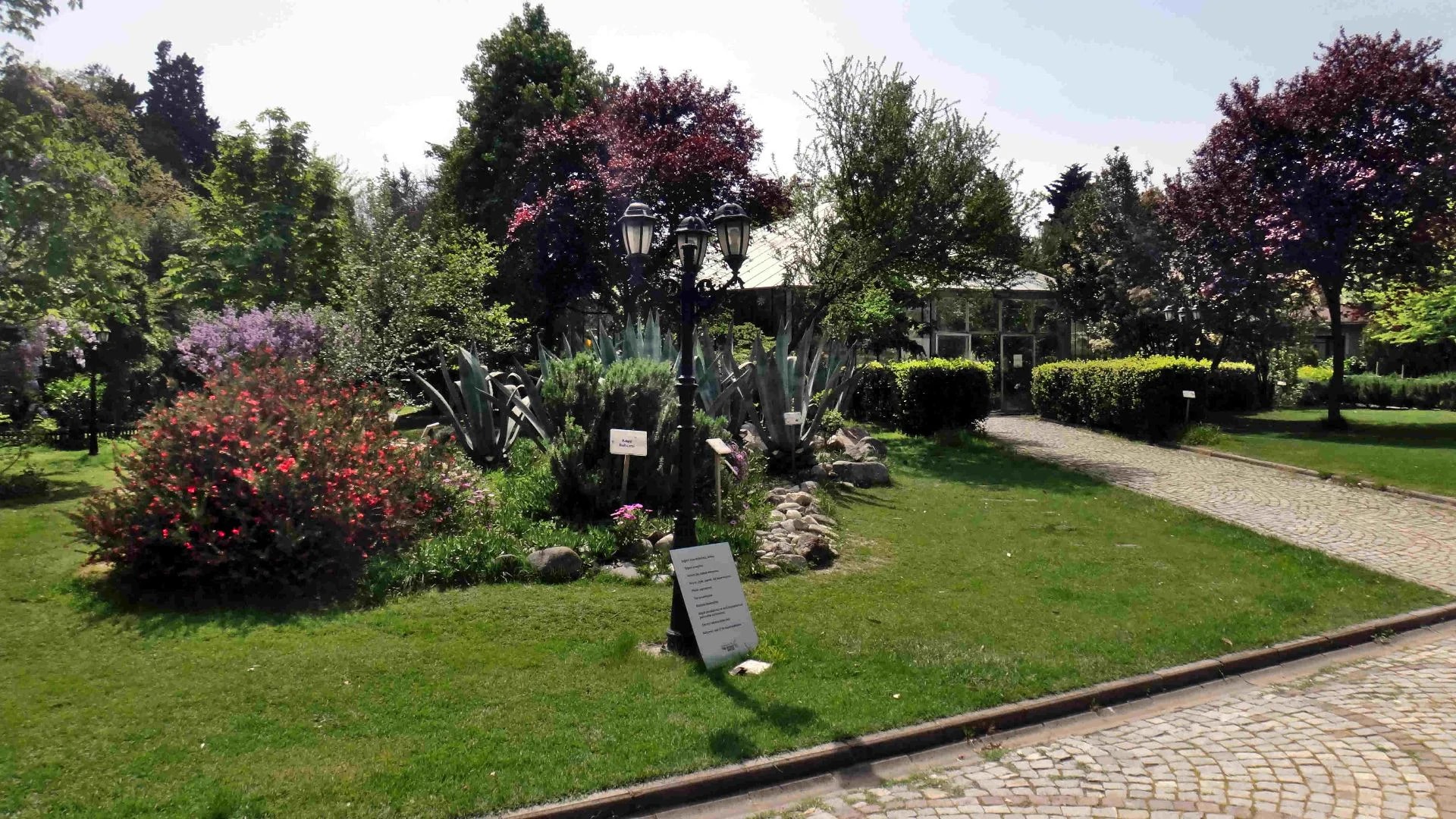 Jardin des Plantes Médicinales de Zeytinburnu - Photo 14
