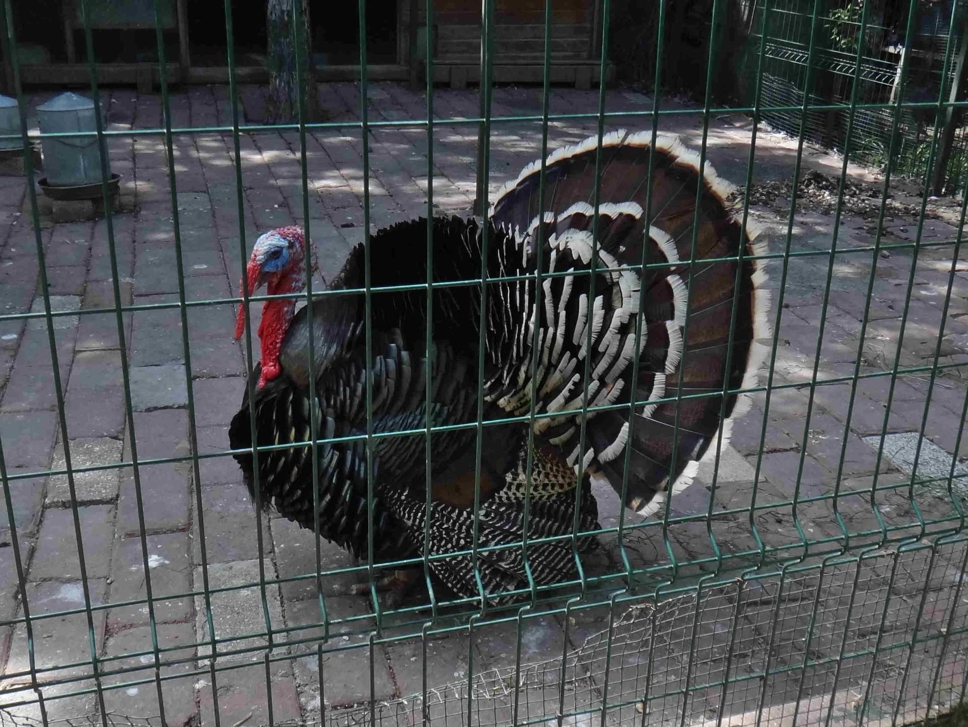 Jardin des Plantes Médicinales de Zeytinburnu - Photo 24