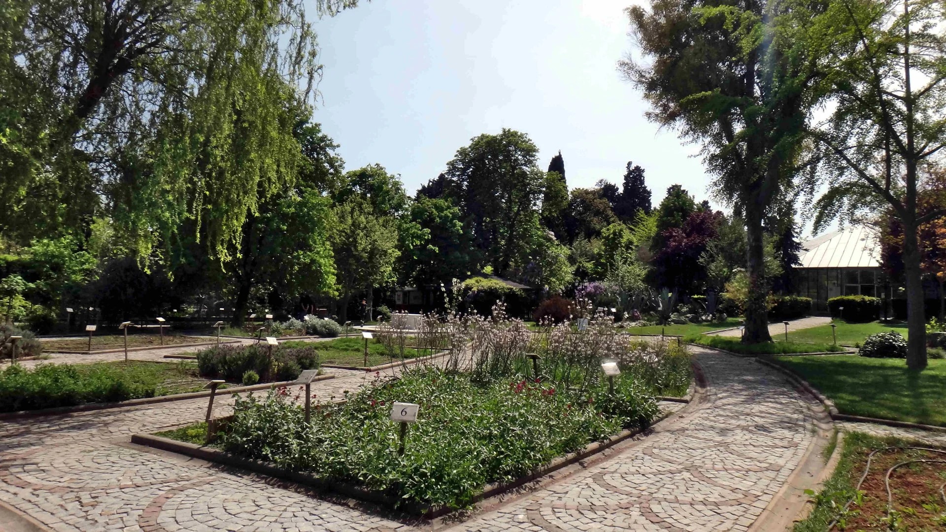 Jardin des Plantes Médicinales de Zeytinburnu - Photo 21