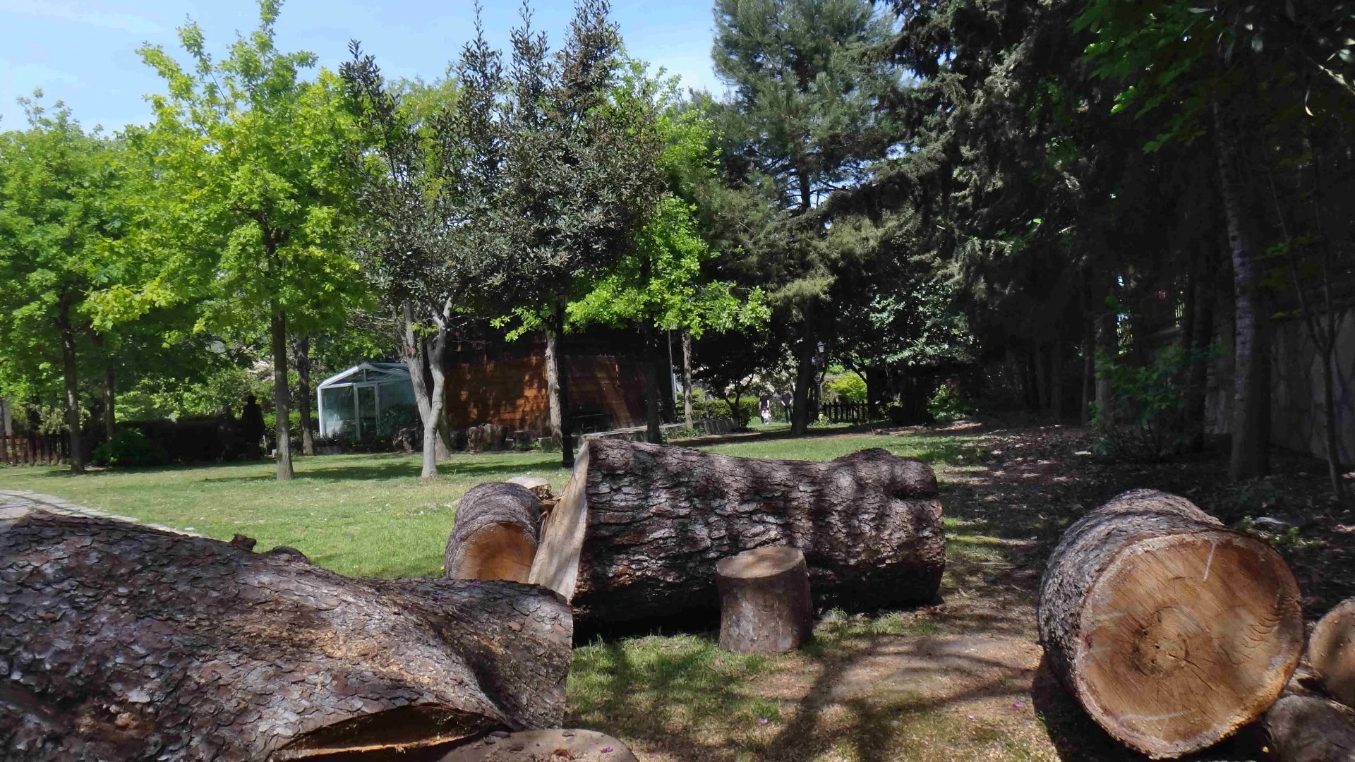 Jardin des Plantes Médicinales de Zeytinburnu - Photo 25