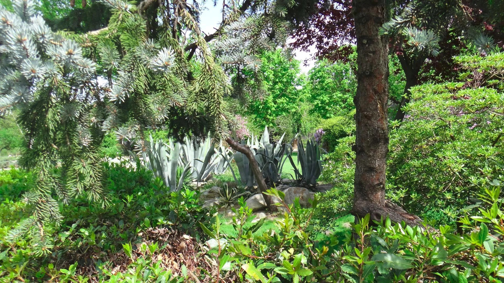 Jardin des Plantes Médicinales de Zeytinburnu - Photo 26