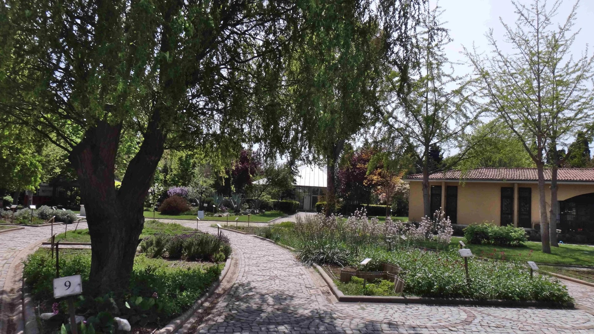 Jardin des Plantes Médicinales de Zeytinburnu - Photo 27