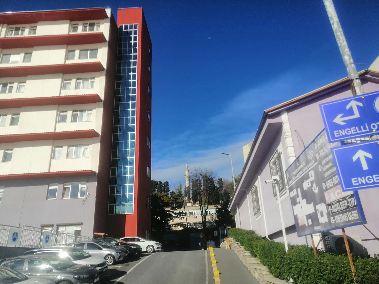 İstanbul Eğitim ve Araştırma Hastanesi - Photo 2