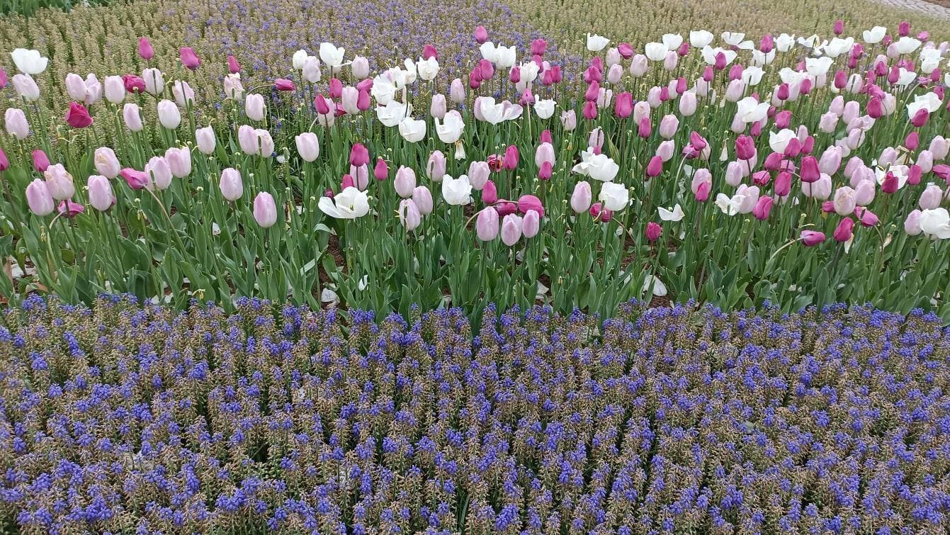 EMIRGAN Park