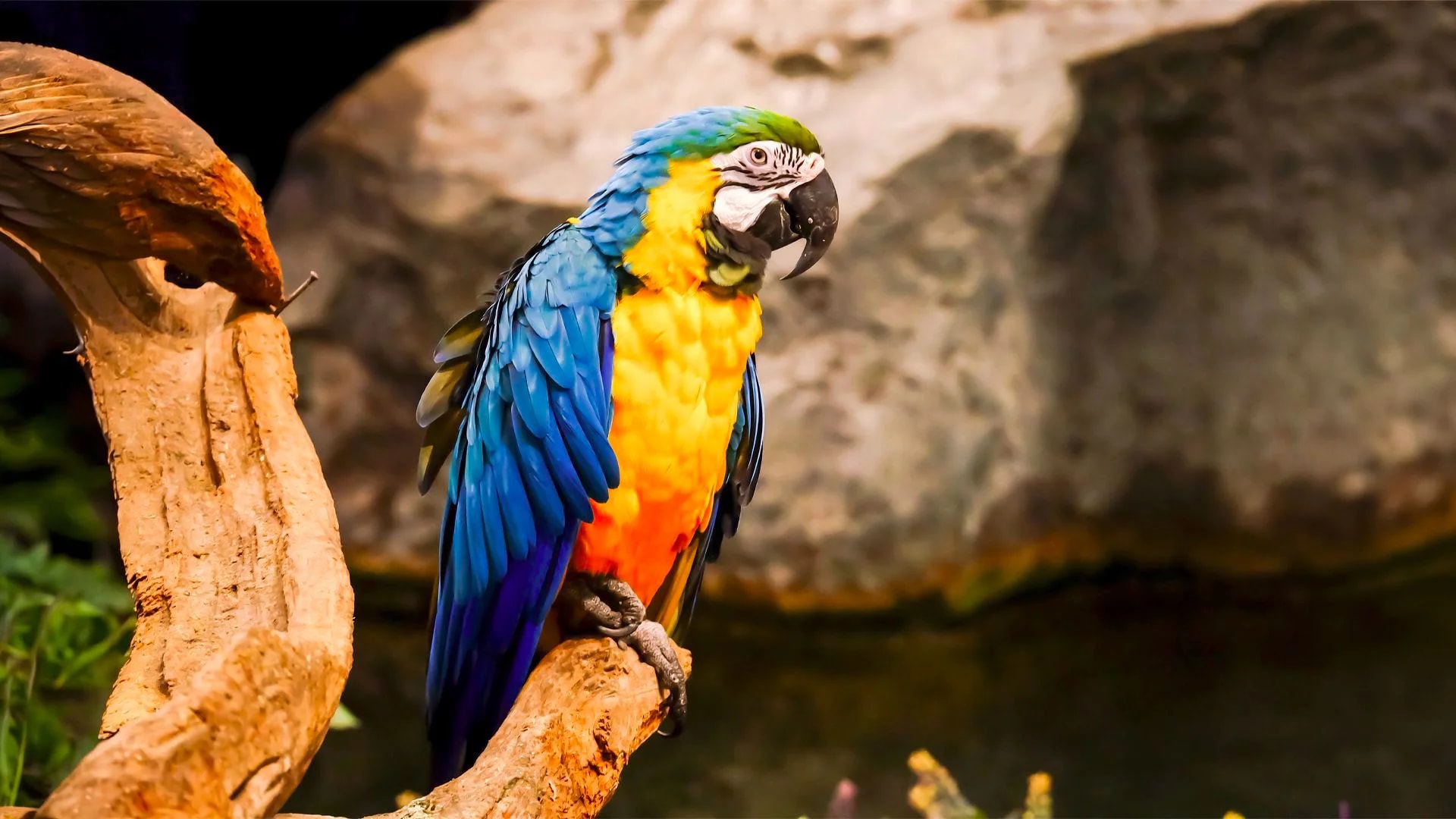 ViaSea Aquarium - Photo 7