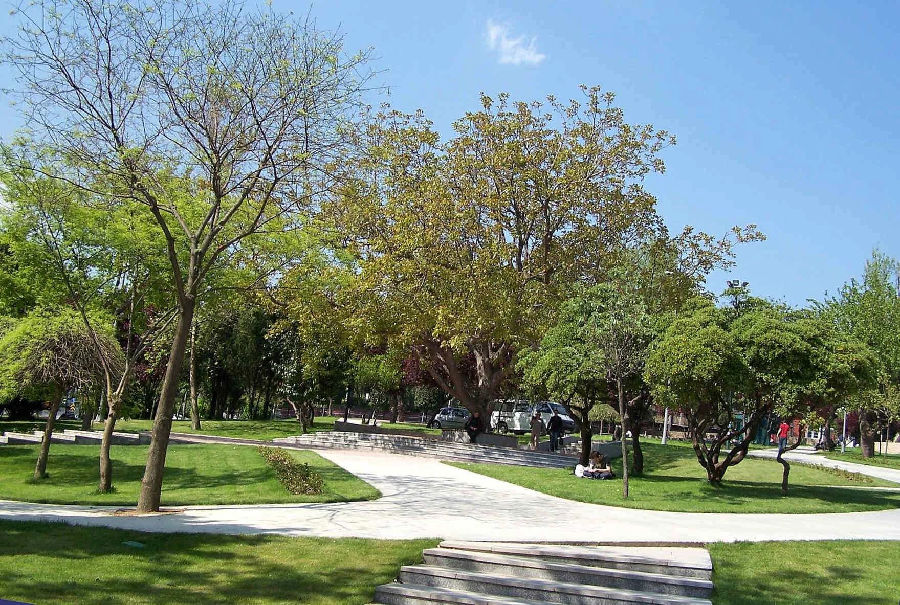 YILDIZ PARK - Photo 2