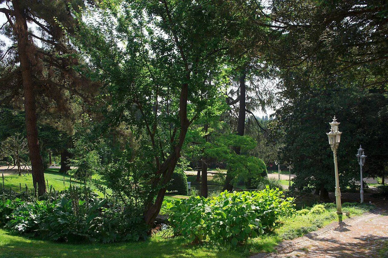 YILDIZ PARK - Photo 4